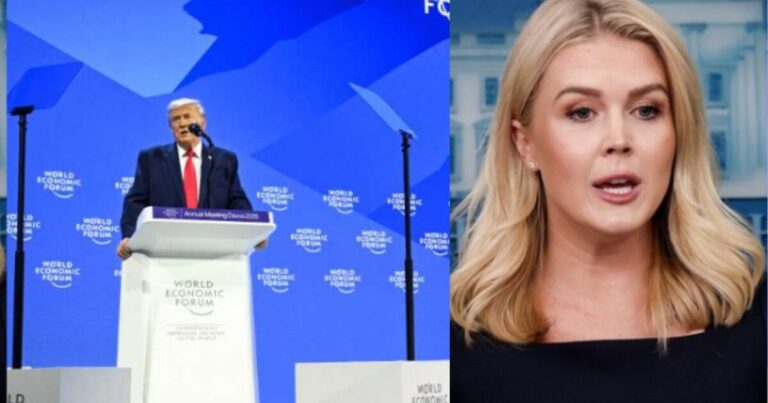 Untitled design (48)