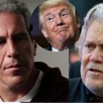 Untitled design - 2026-02-03T032004.934