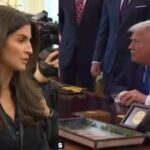 Untitled design - 2026-02-04T191347.019