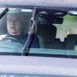 Untitled design - 2026-02-05T020406.205