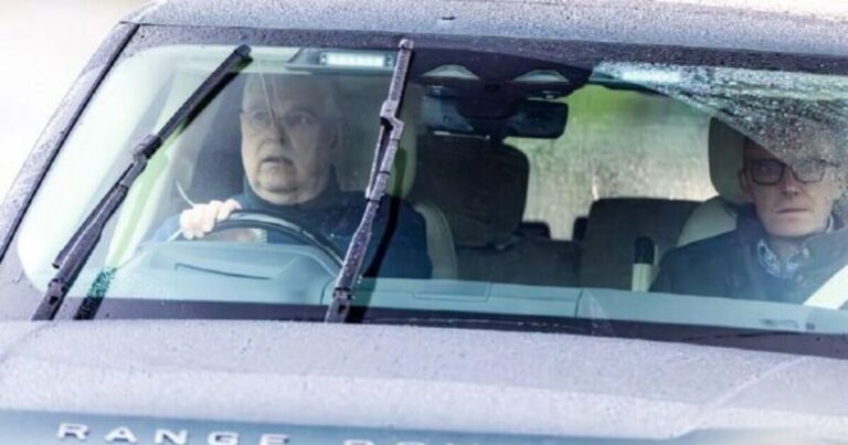 Untitled design - 2026-02-05T020406.205