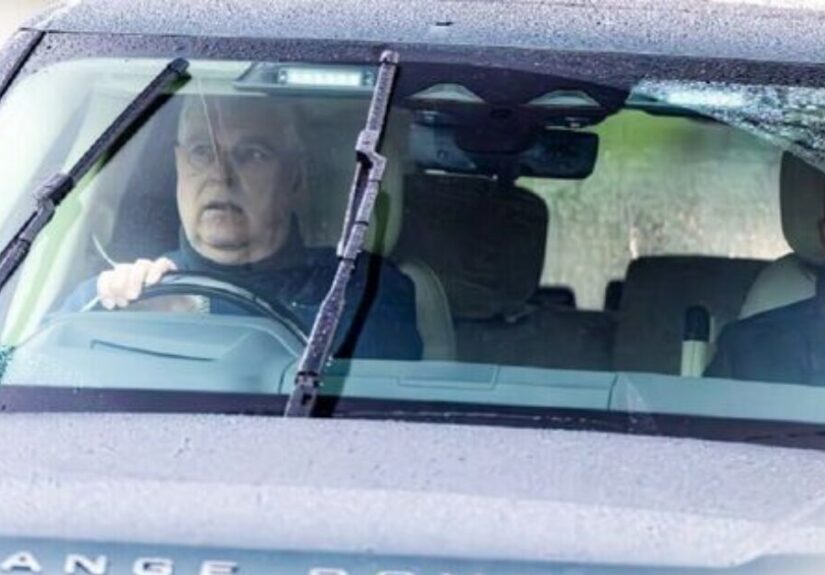 Untitled design - 2026-02-05T020406.205