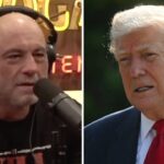 Untitled design - 2026-02-13T184209.270