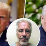 Untitled design - 2026-02-19T192249.513