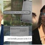 Untitled design - 2026-02-21T010229.725