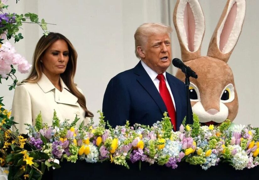 1 - 2026-04-06T195146.764