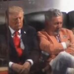 1 (47)