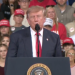 1 (19)